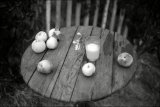 Вечерний натюрморт с разлитым молоком и семью падшими яблоками