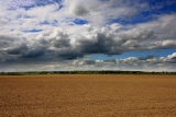Лето,поле,облака...