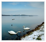 Январь на Рейне