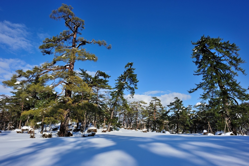 Yukyuzan (winter)