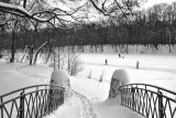 В парке зимой