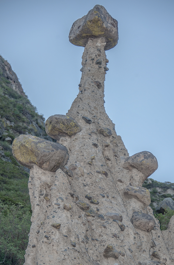 Каменные грибы Алтая