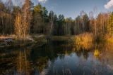 Уголок лесного озерца