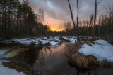 Весенний закат у лесного ручья
