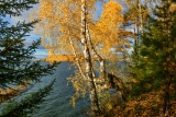 Осенний берег