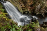Водопад Триберг (Triberger Waterfall)-3