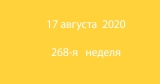 2020-08-17.jpg