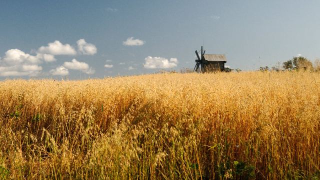 Ветра ждем...