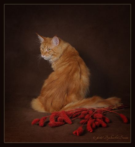 генри