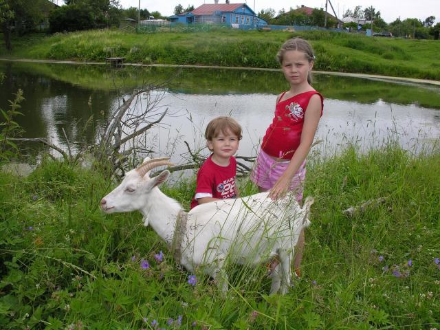 Сестрица Алёнушка и братец Иванушка