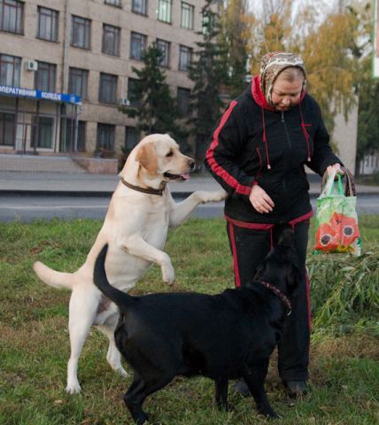 Про отличия в тактике