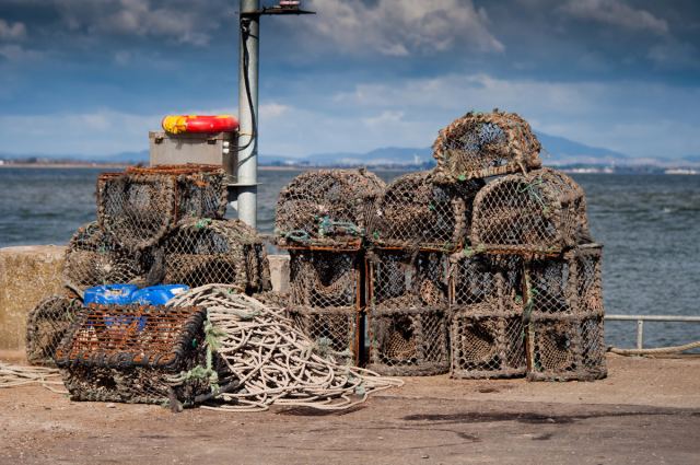 Crab Cages