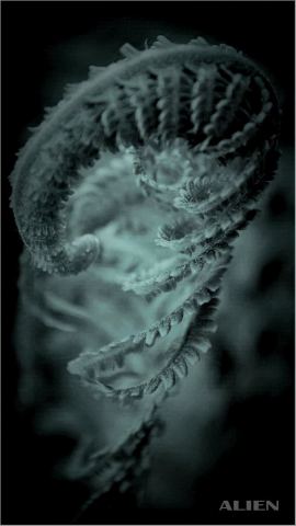 ALIEN