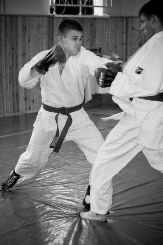 combat ju-jutsu fighting (2)
