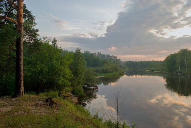 Окский заповедник, берег реки Пра