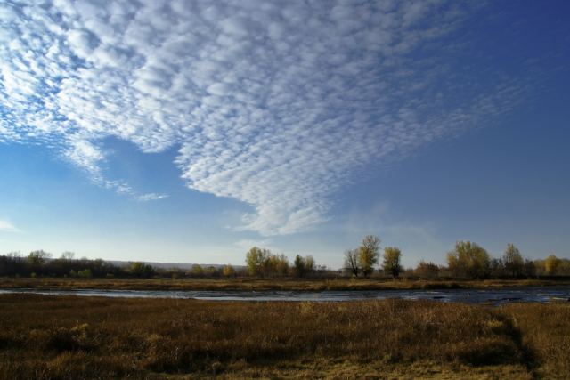 _DSF0472-3.jpg