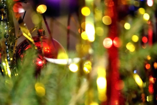 Red ball on a  Christmas tree.jpg