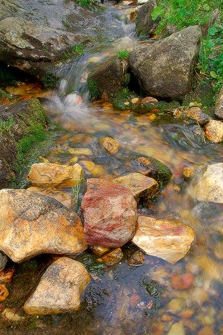 DSC_2153_w.jpg