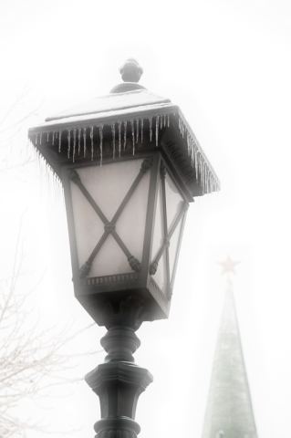 DSC_7318.jpg