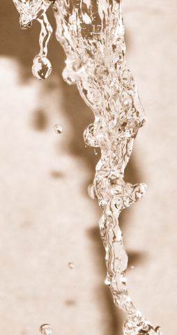 H2O