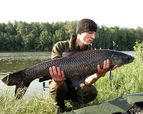 _DSC0003.jpg