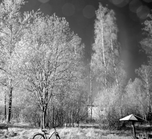 infra red