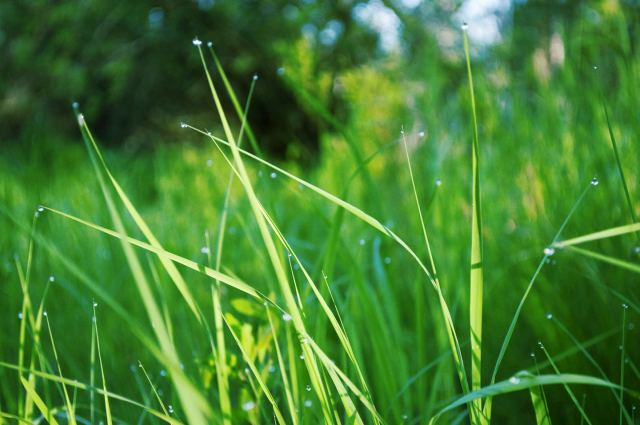 _DSC00701.jpg