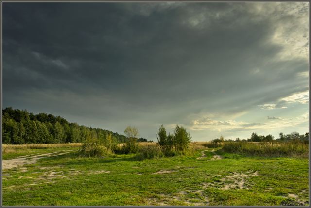 Перед грозой.