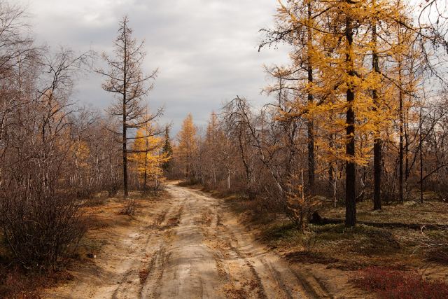 осень 2011