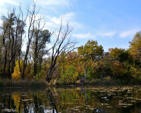 В осенний берег без умолку бьется река