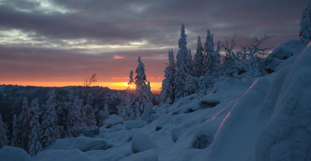 Рассветное