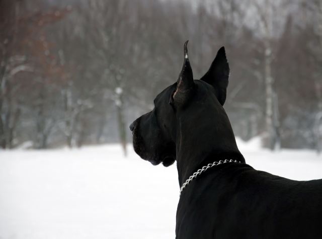 DSC_0097.jpg