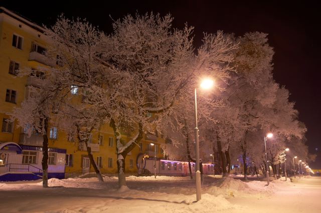 Зимняя аллея