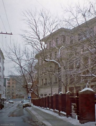 Розовая оттепель
