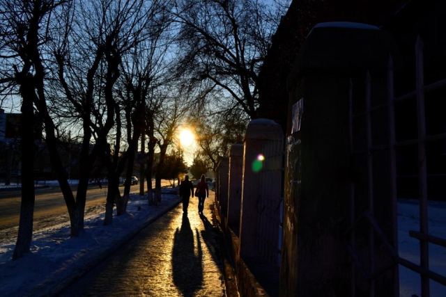 Теплое солнце холодной зимой