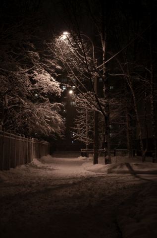 DSC_41th56.JPG