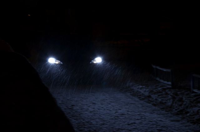 DSC_41gg64.JPG