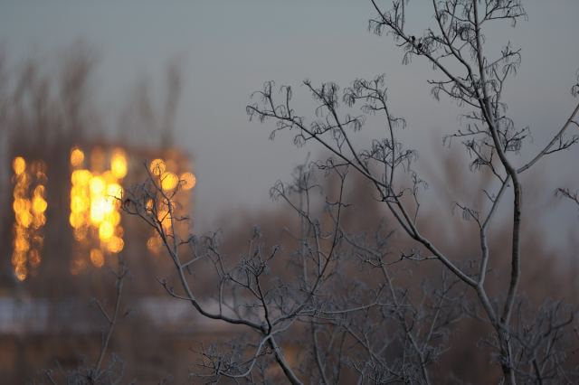 Winter sunrise