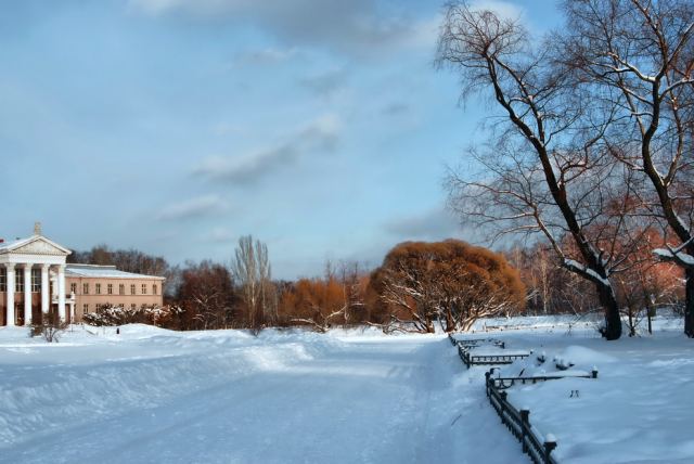 В зимнем парке