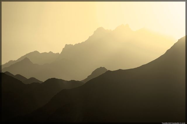 Gold of desert
