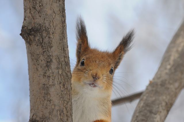 DSC_1763.JPG