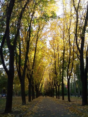 Осень 