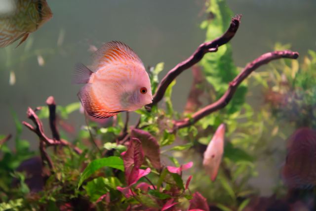 Underwater