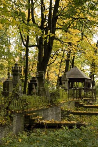 Осень на Громовском