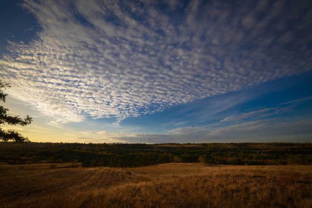 _DSC0871.jpg