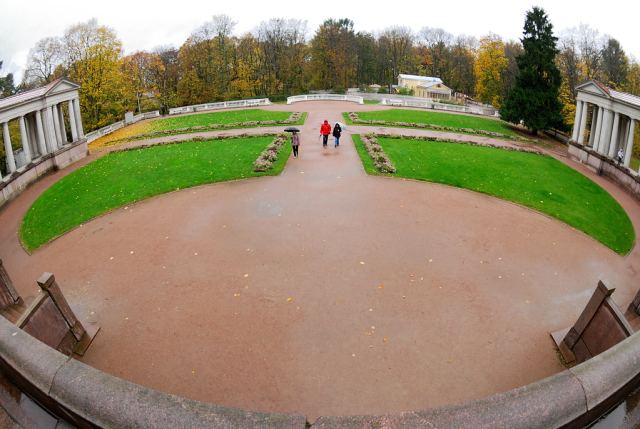 Тарелка