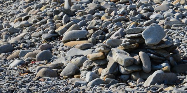 DSC_0510.JPG