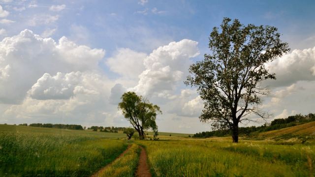 сквозь лобовое стекло
