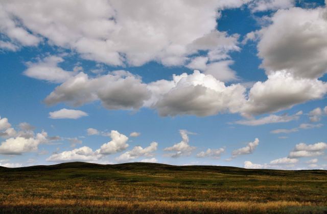 Windows XP