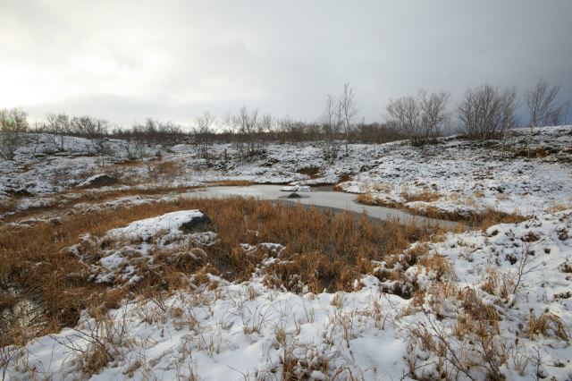 первый снег